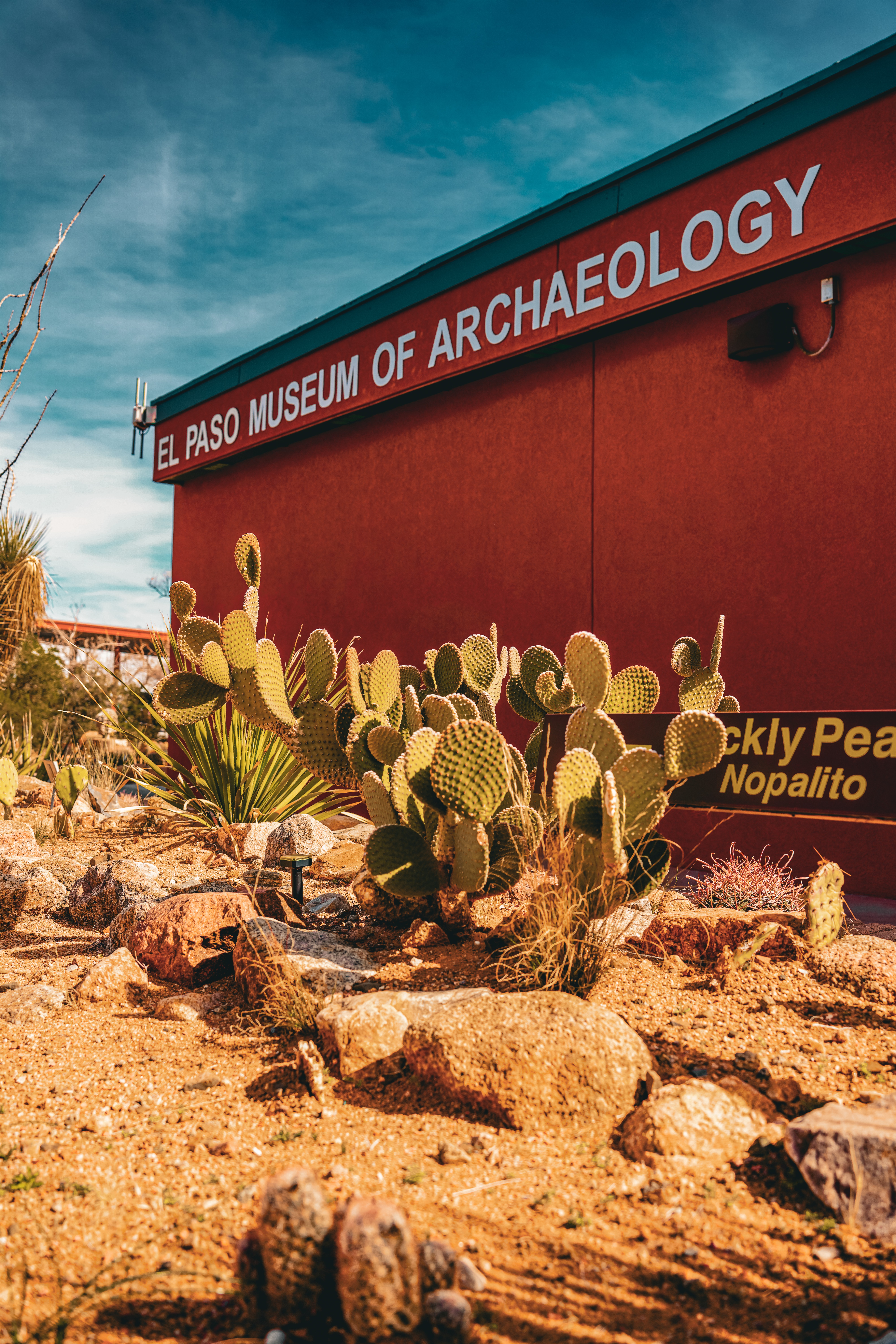 El Paso Museum of Archaeology Building with cact in front of building