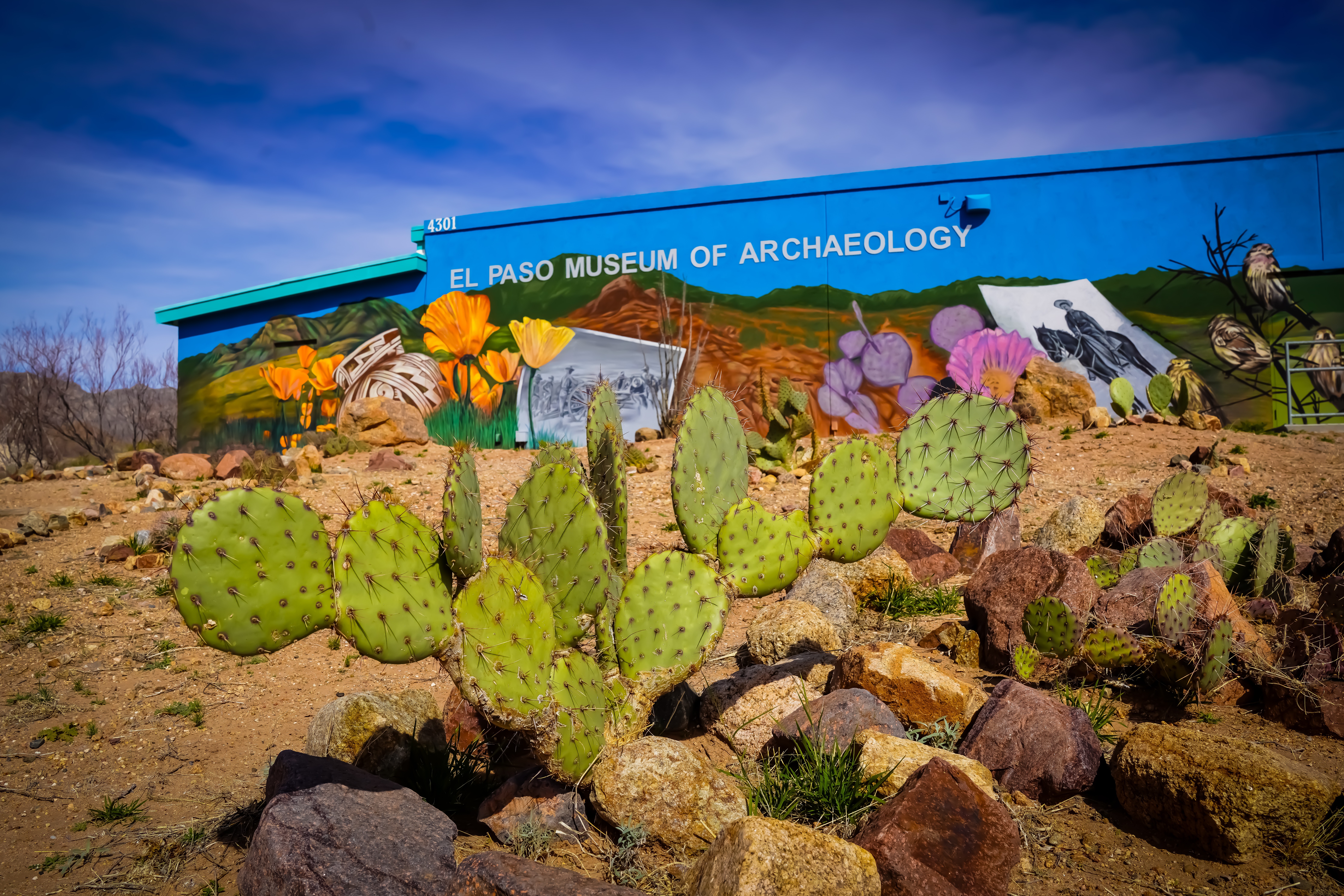 Museum of Archaeology pictured with featured mural. Cacti in foreground