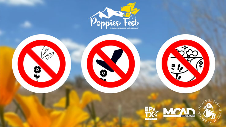 No picking or stepping on the poppies, or going off trail.