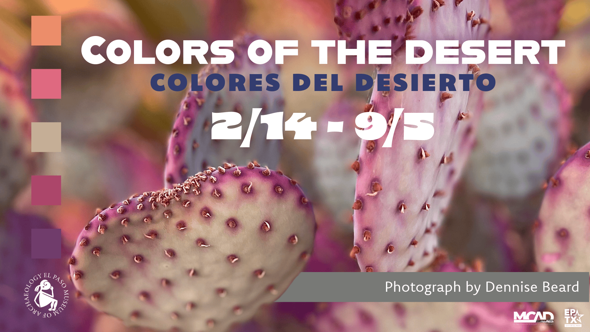 Colors of the Desert title wall 2026 compressed