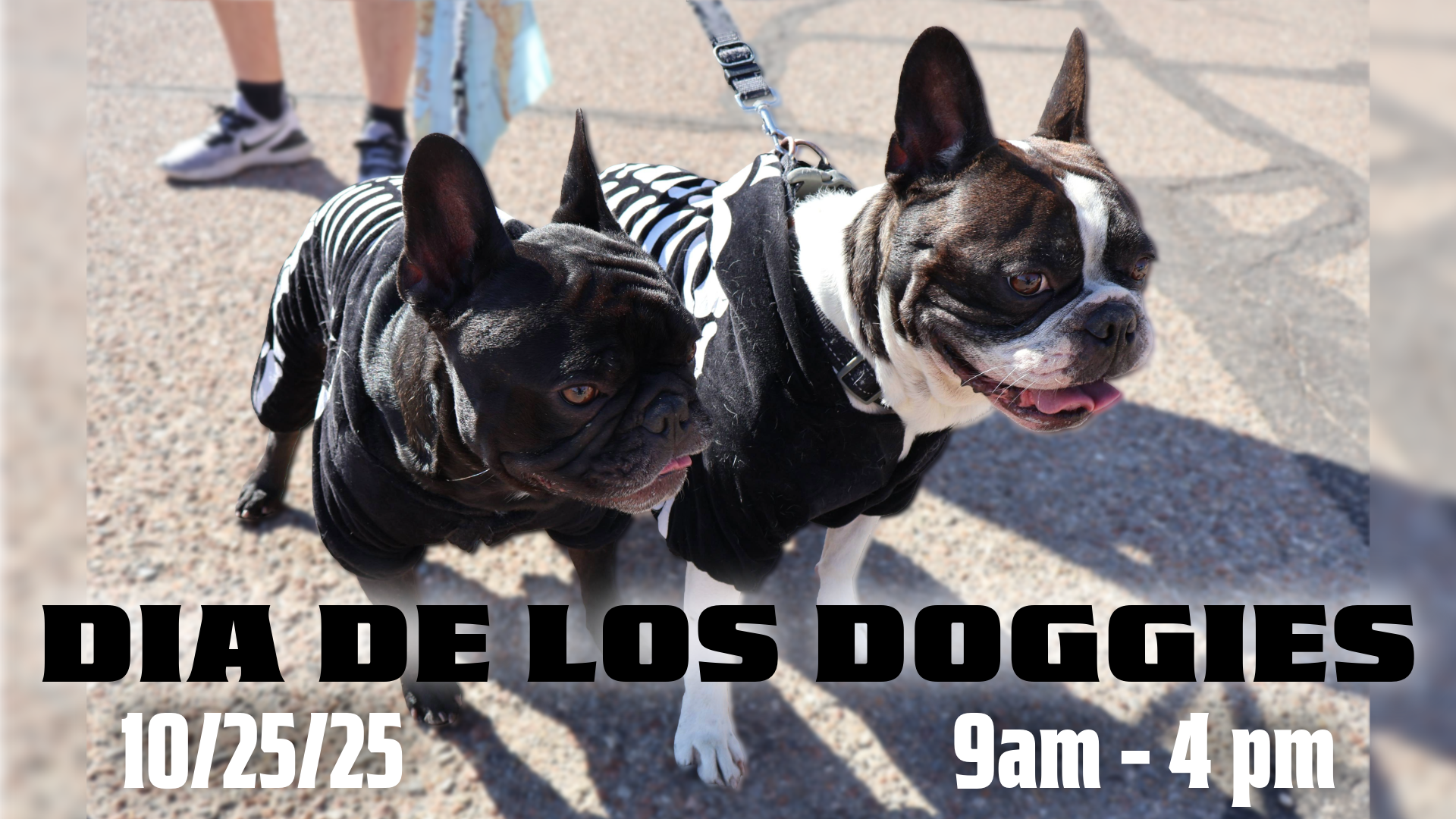 Dia de los Doggies