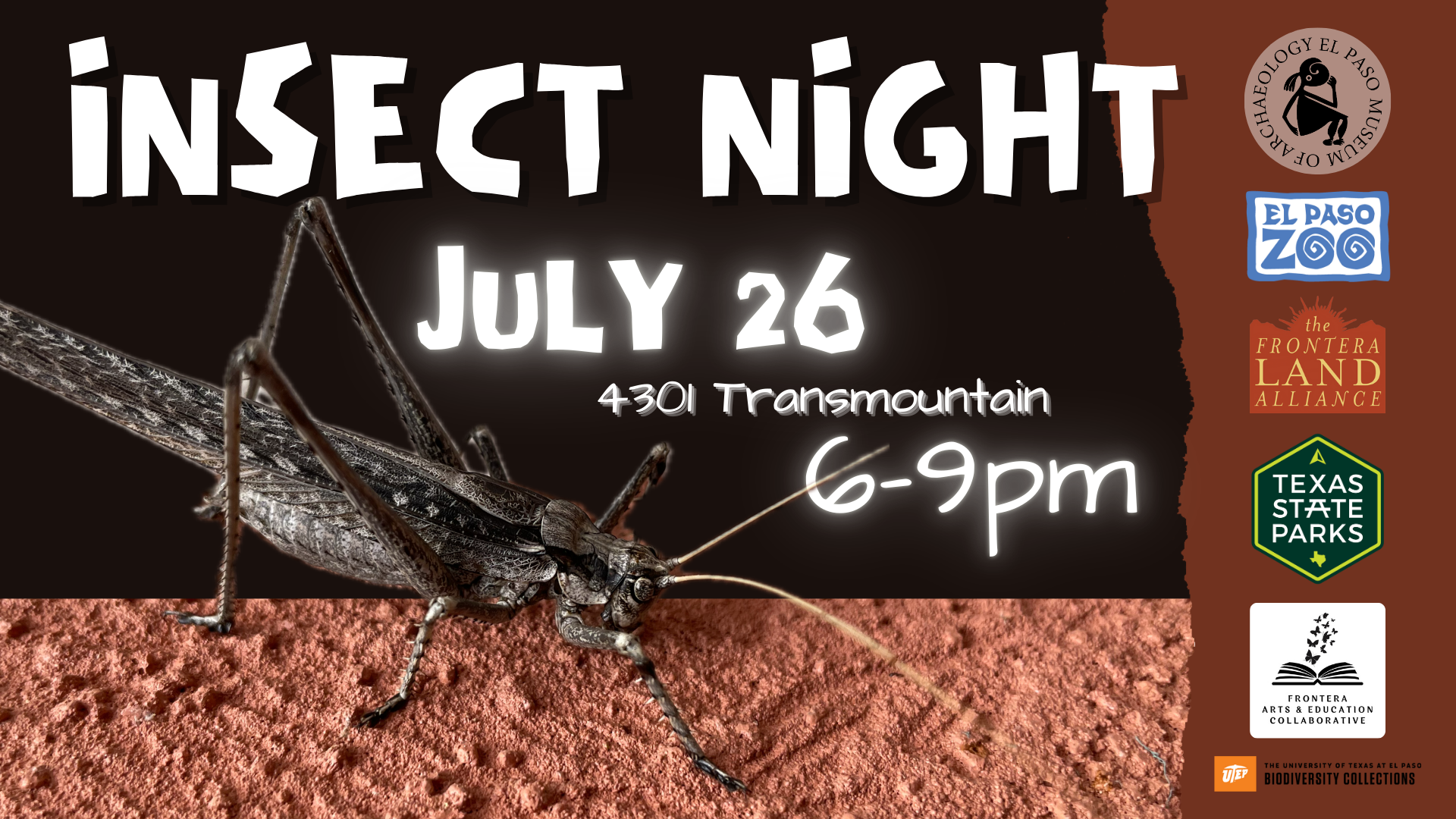 Digital Insect Night Grasshopper v2