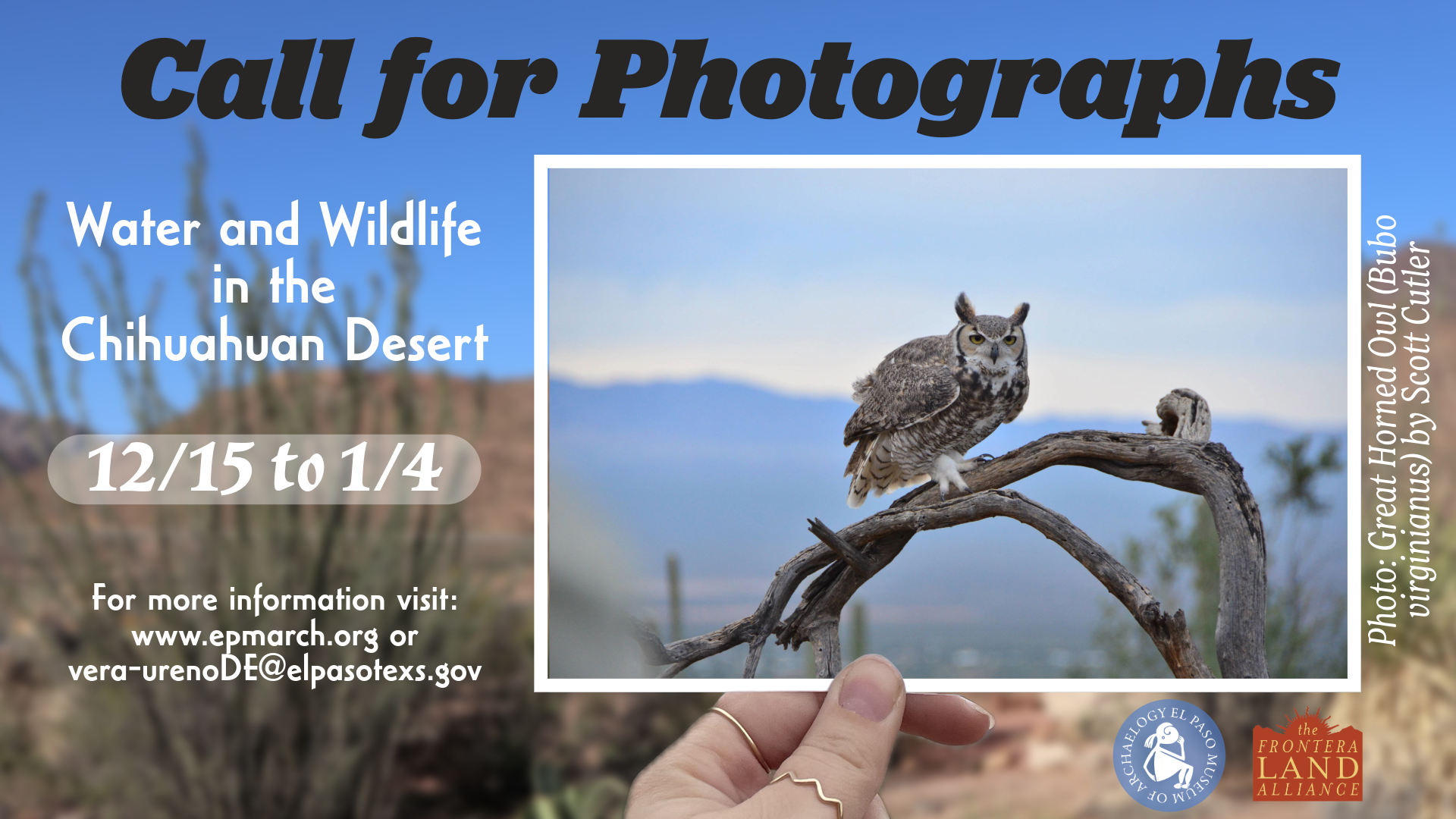 Digital Photograph Call WaterWildlife v2