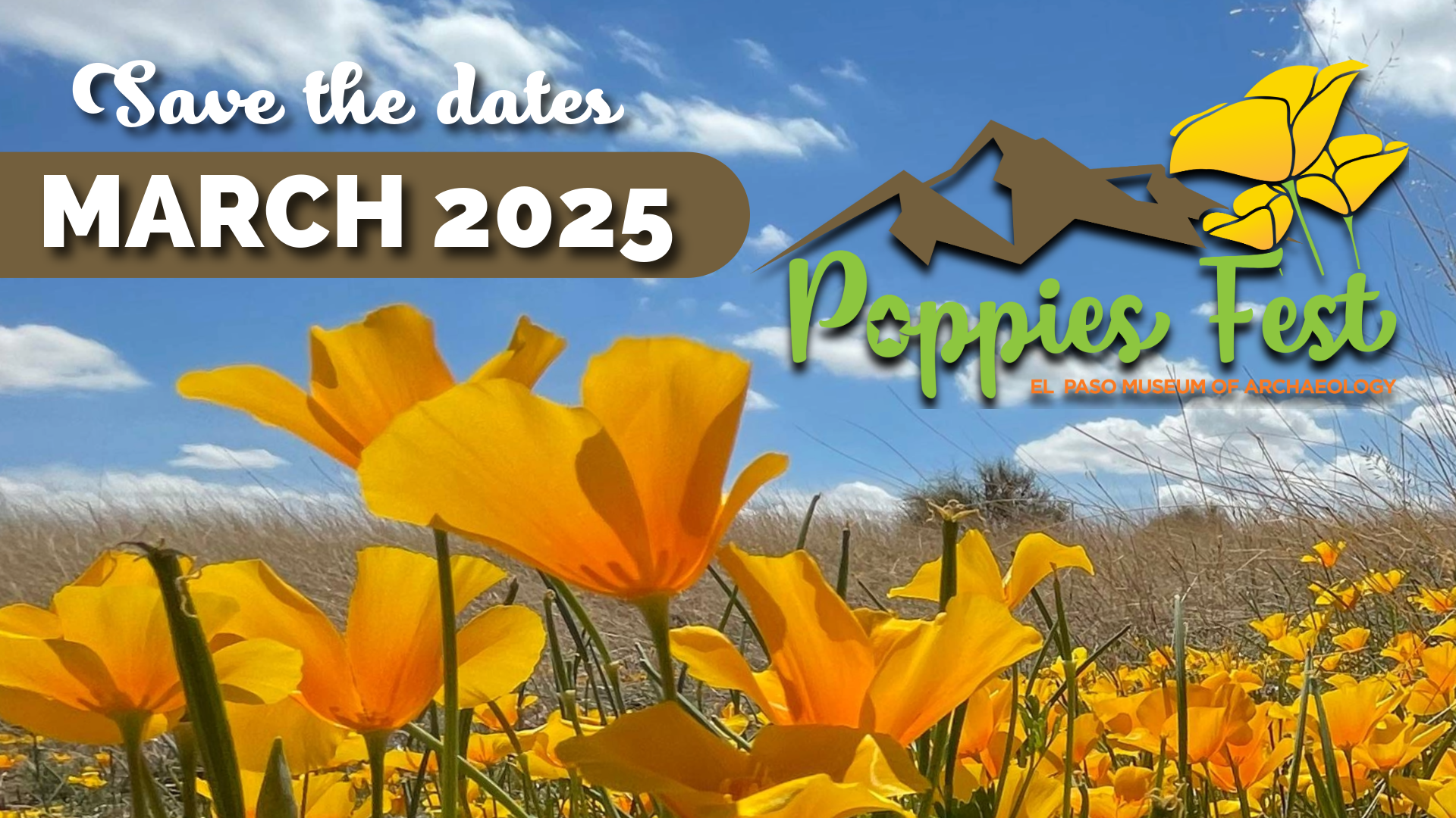 Digital Poppies Fest 2025