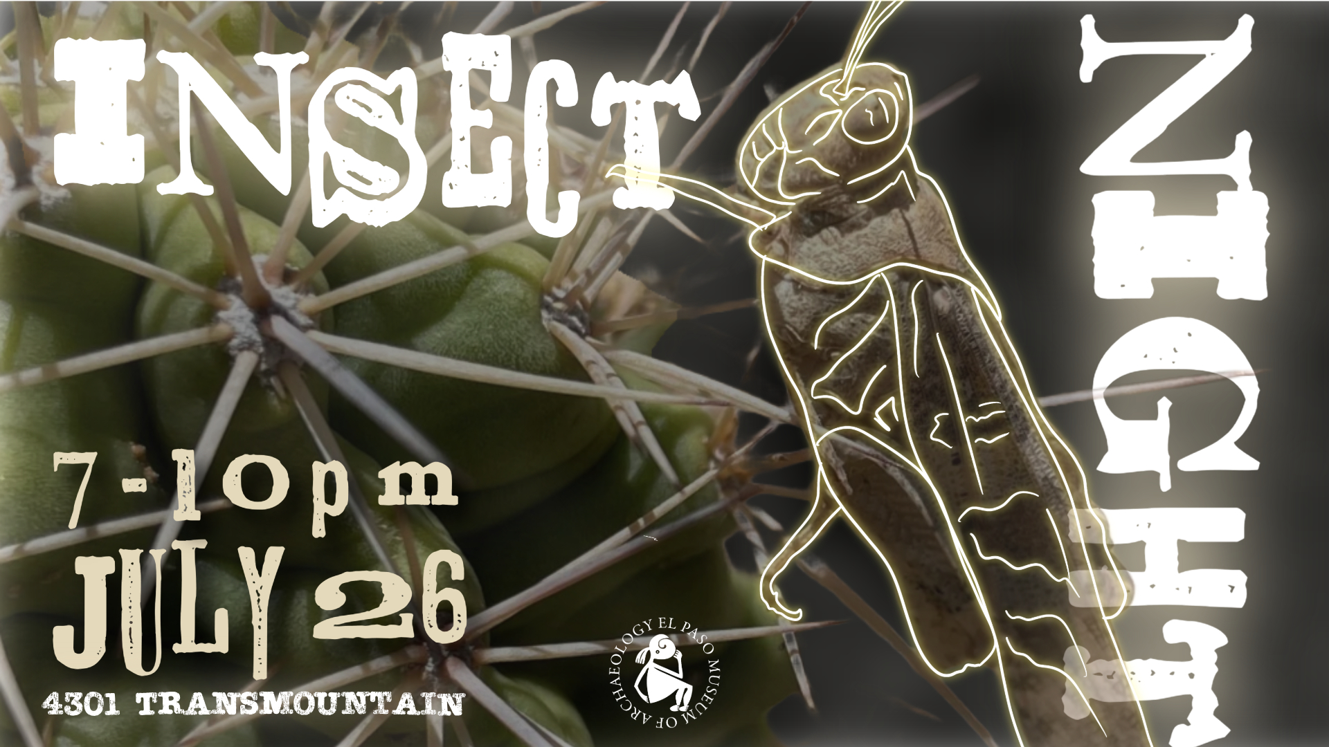 Insect Night 2025 2