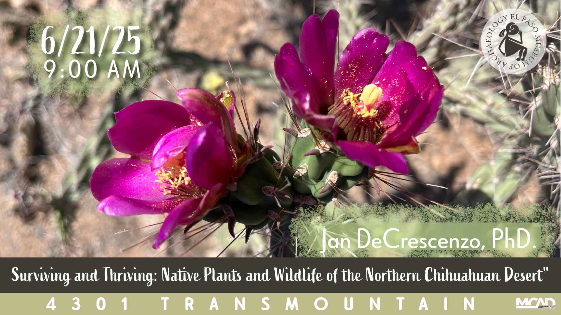 Jans Pollinator Talk NewIG 2